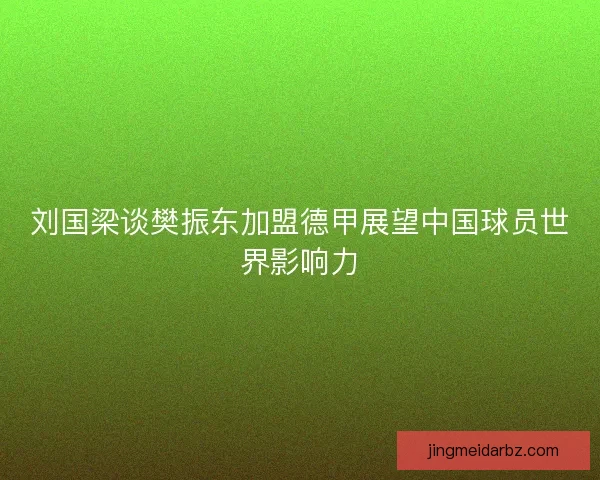 刘国梁谈樊振东加盟德甲展望中国球员世界影响力