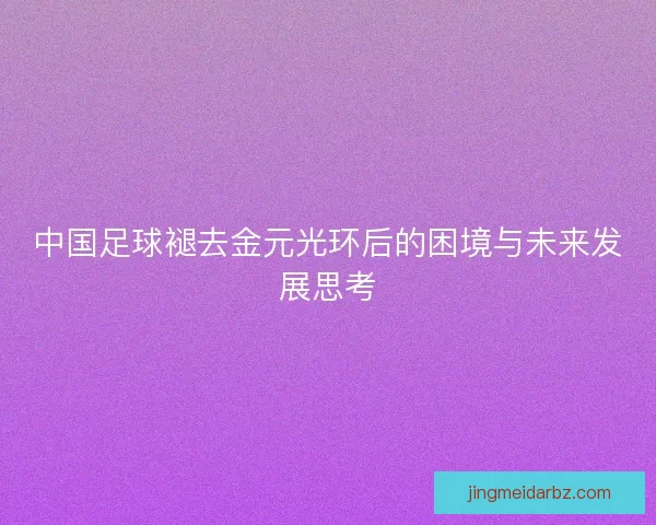中国足球褪去金元光环后的困境与未来发展思考