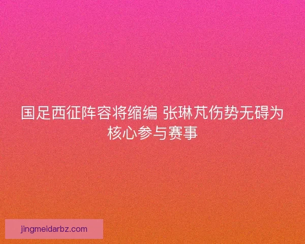 国足西征阵容将缩编 张琳芃伤势无碍为核心参与赛事