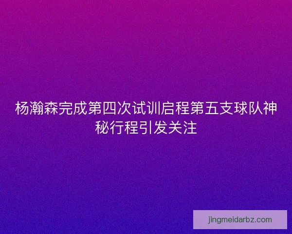 杨瀚森完成第四次试训启程第五支球队神秘行程引发关注